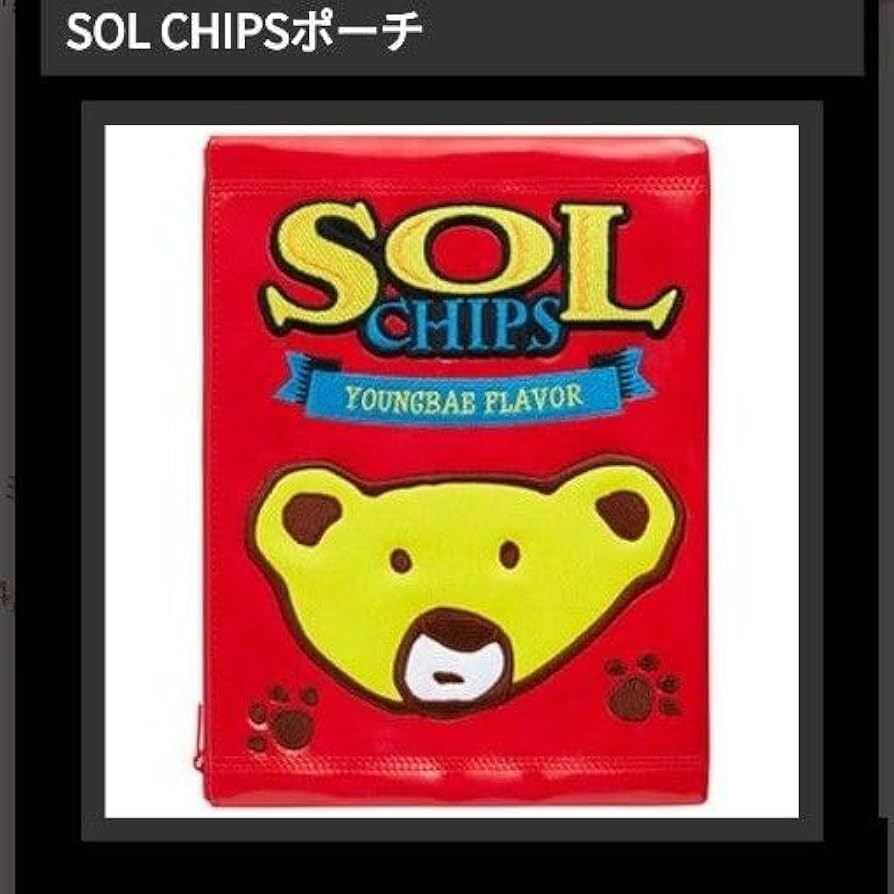 Amazon.co.jp: BIGBANG SOL TAEYANG YOUNGBAE ポーチBIGBANG